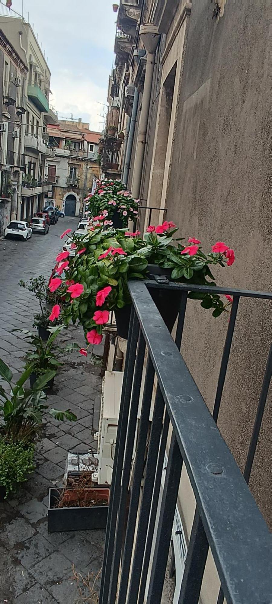 Nimia B&B Di Nic & Fra Katánie Exteriér fotografie
